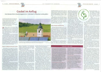 Artikel im Sonntagsblatt vom 20.11.2022