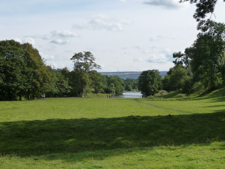 Eine weite Landschaft mit viel Grün